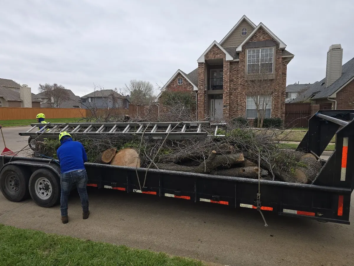Expert Tree Fertilization with proper safety equipment in Shady Cove